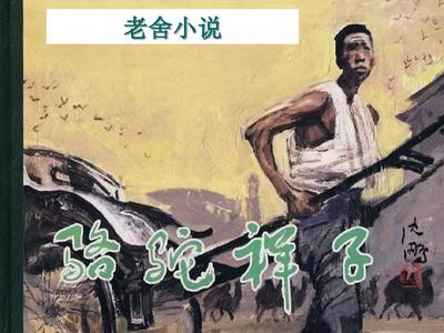 拔萝卜全程不盖被子黄心火龙果